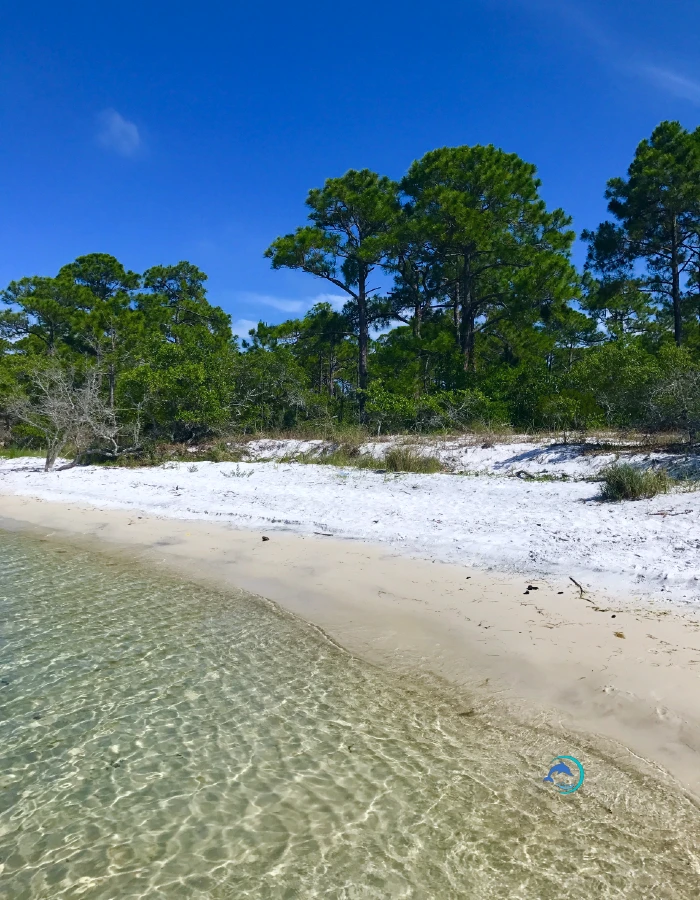 Gulf-Islands-National-Seashore