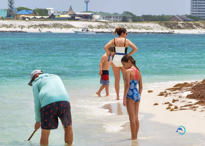 Family playing in Destin Harbor with Crab Island Luxury Adventures