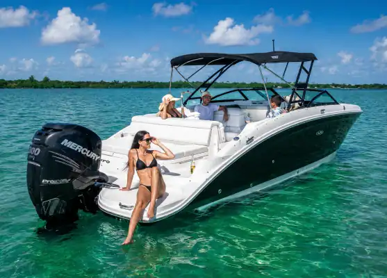 Adeline Sea Ray SDX 290 charter
